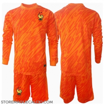 Francia Portiere Maglia Gara Trasferta Repliche Europei 2024 Bambino Maniche Lunghe